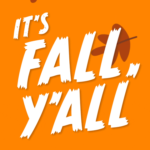 🍁Nov 4 - Jan 24 | DC Leaf and Holiday Tree Collection for Ward 7 and Ward 8