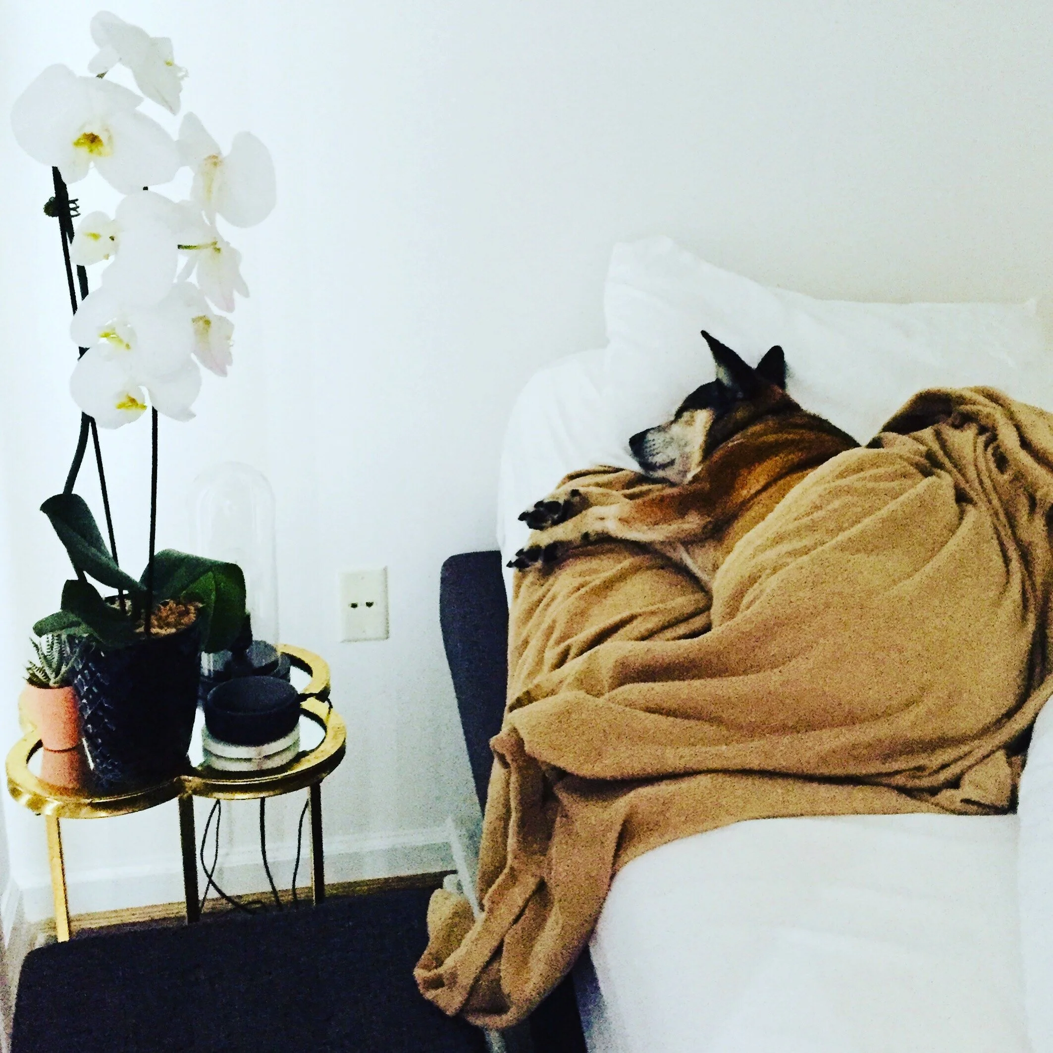 Teddy, living his best life since 2008