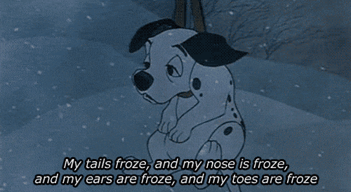 The truth about 🐕dogs and the cold outdoors
