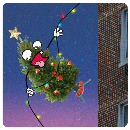 🎄DPW Leaf and Holiday Tree Collection Schedule 