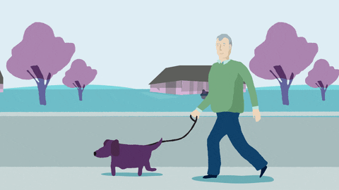 Paws on the Hill seeks Dog Walker (NE + SE DC) - $18+/hour