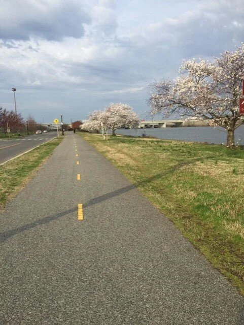 [PR] Beach Drive in Rock Creek Park and Roads in Fort Dupont and Anacostia Park Will Close to Vehicle Traffic