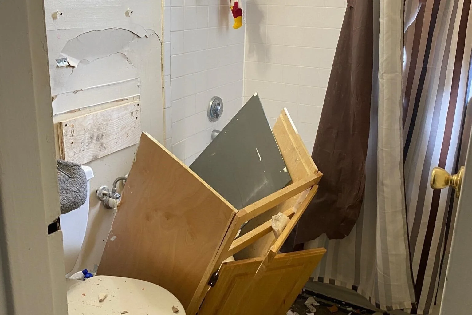 Leave those fireworks alone! Veterans, pets and neighbors are sick and tired of the noise! 