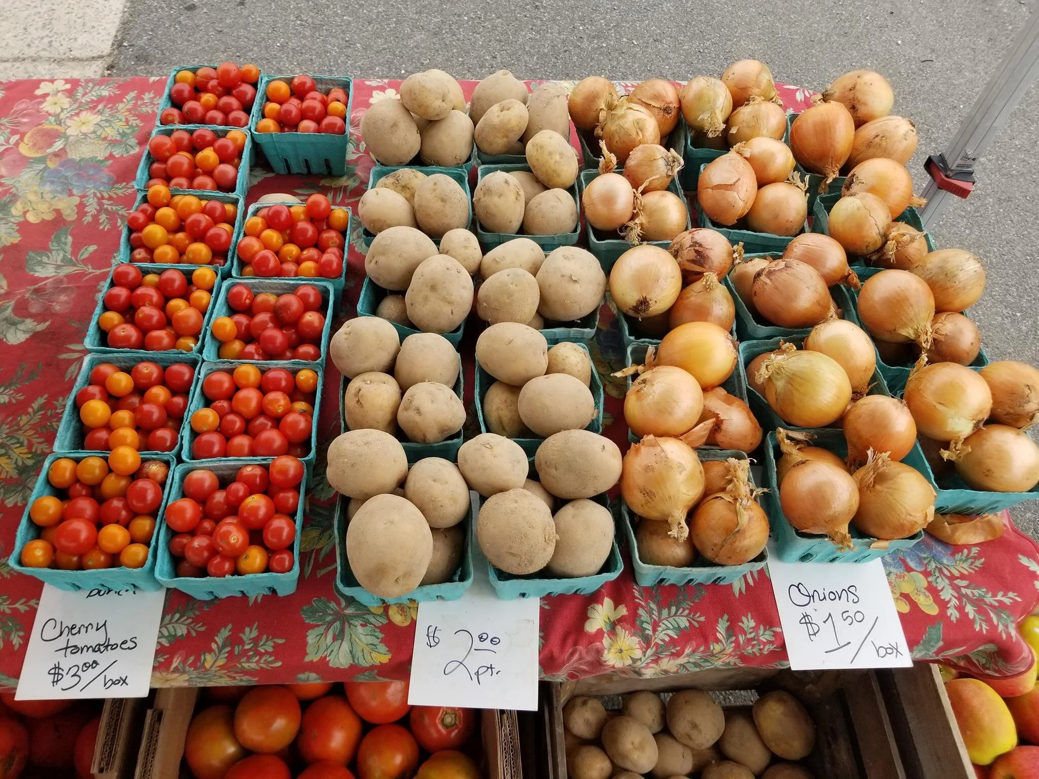 July 18 | Ward 8 Farmers Market Opening Day