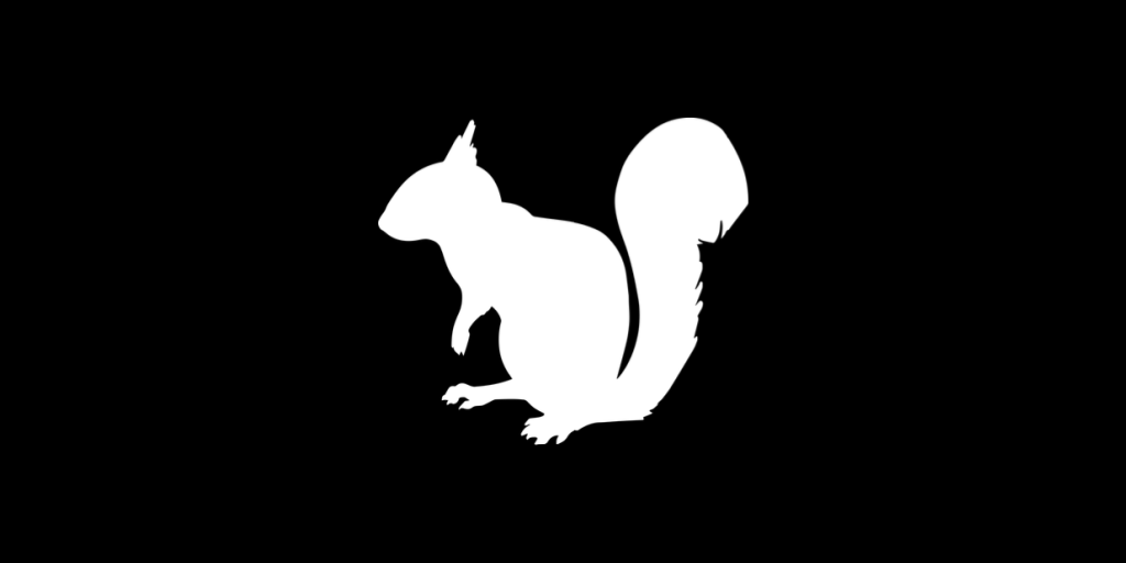Update on the rescued squirrel family
