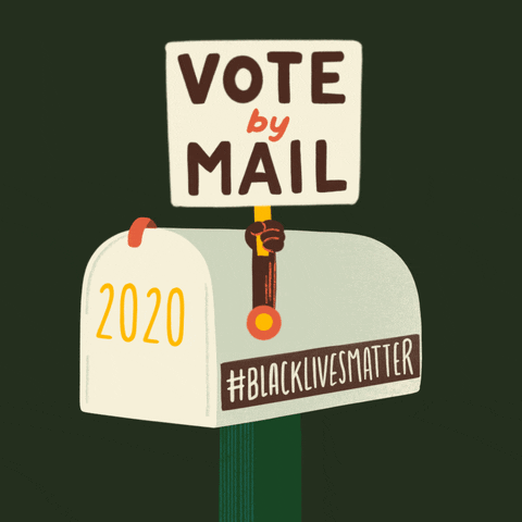 Check your voter registration status for the Nov 3rd election