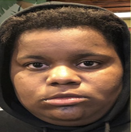 CRITICAL MISSING | Diane Terrell, 17