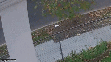 [PR] Suspect Sought in an Assault with a Dangerous Weapon (Gun) Offense: 600 b/o Malcolm X Avenue, SE