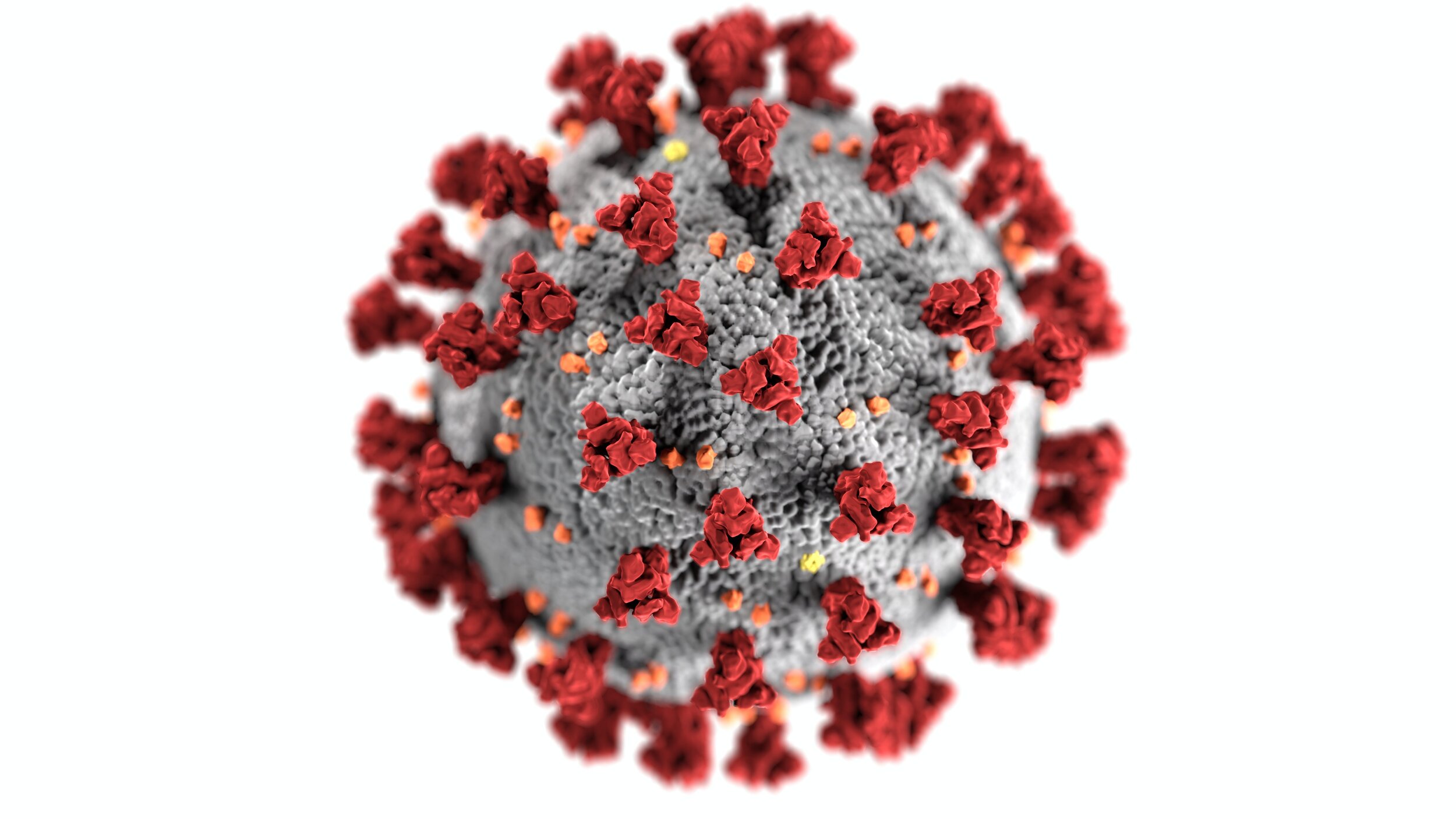 Coronavirus Data for December 10, 2020