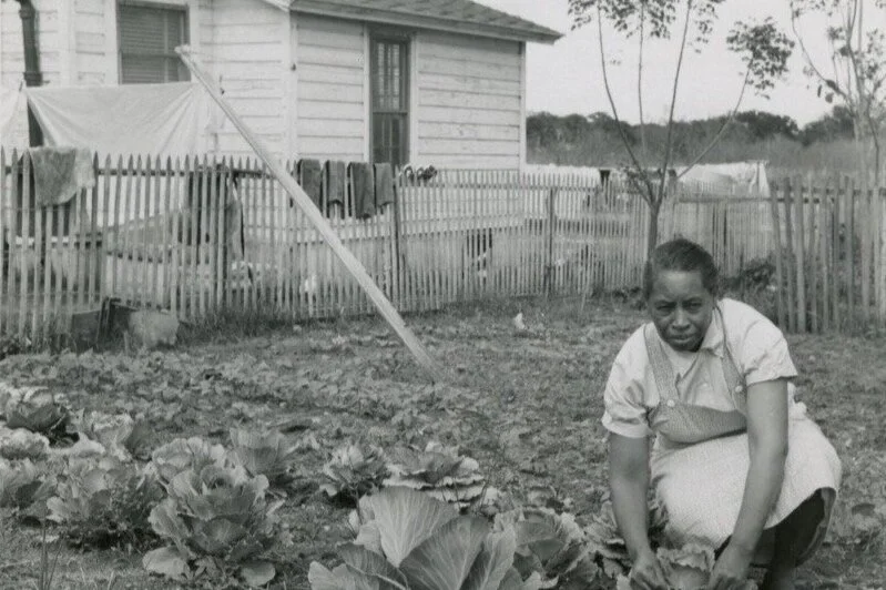 April 24 |  Historic Connections to Our Community Gardens