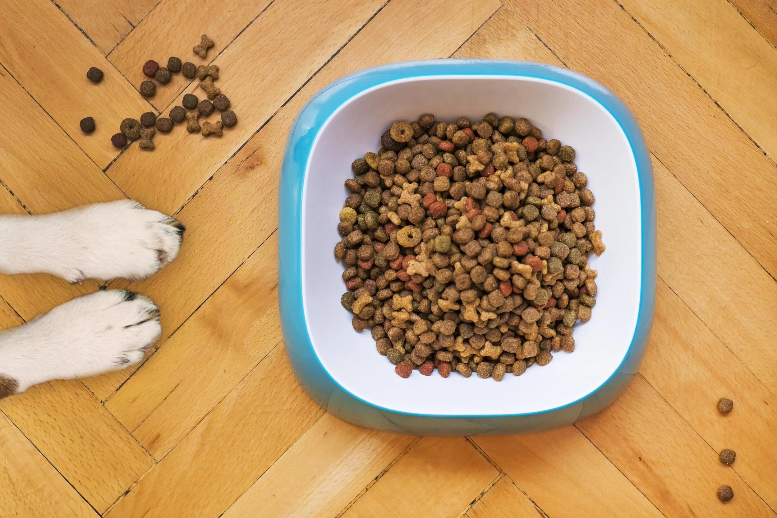 April 23 | Humane Rescue Pet Pantry at Martha's Outfitters