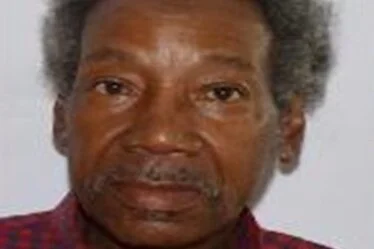 CRITICAL MISSING | Richard Strother, 70