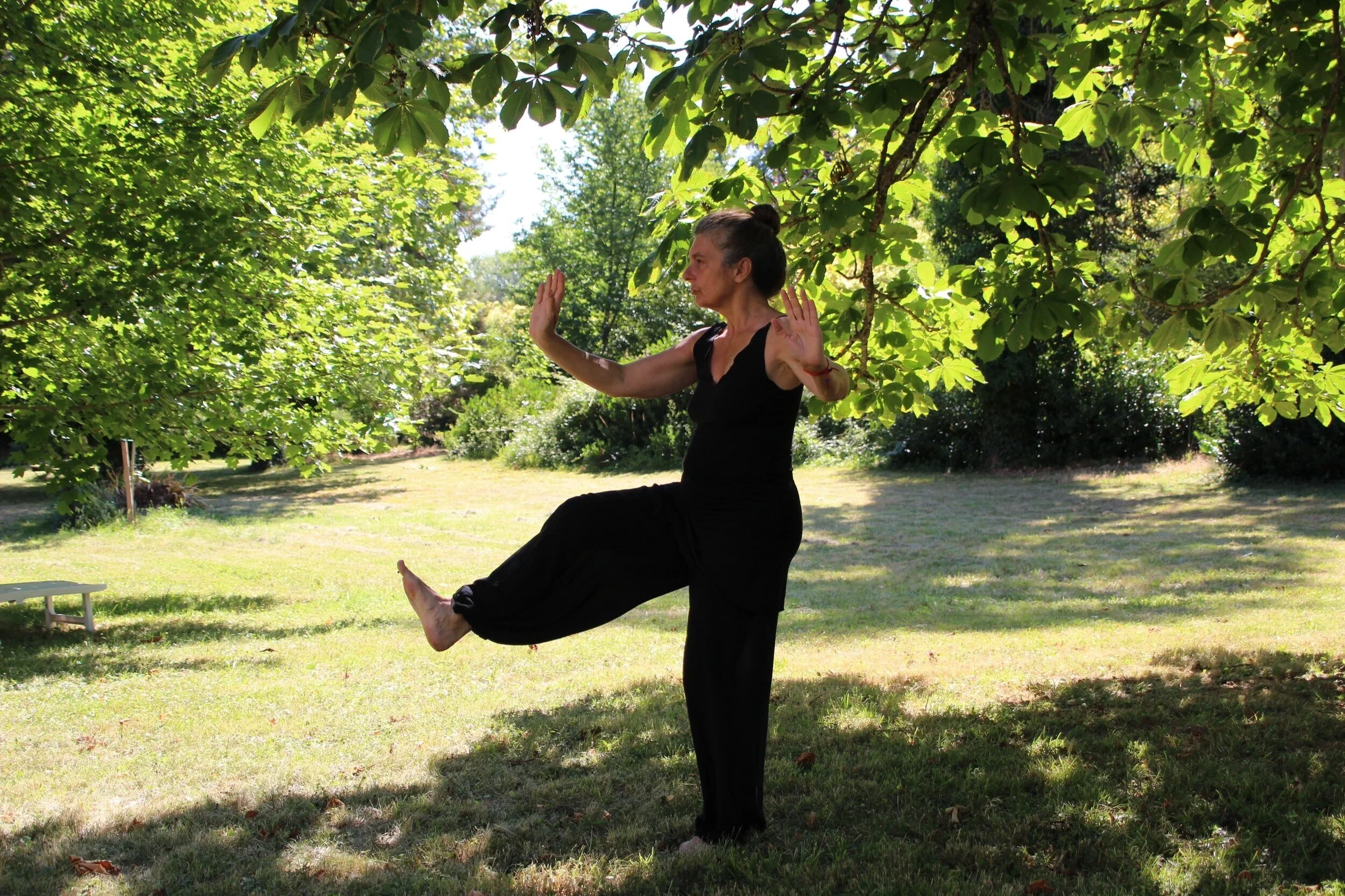 July 17 | Free Tai Chi class in Kenilworth Aquatic Gardens