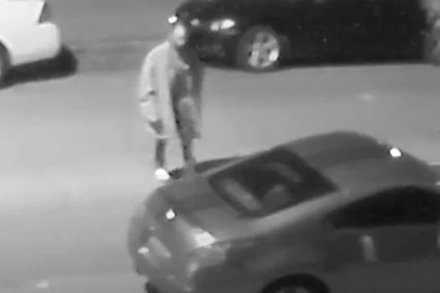 MPD 7D VIDEO | Persons of Interest in Theft II, 800 b/o Xenia St, SE