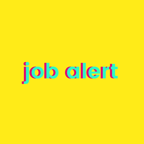 JOB ALERT | Information Technology Assistant