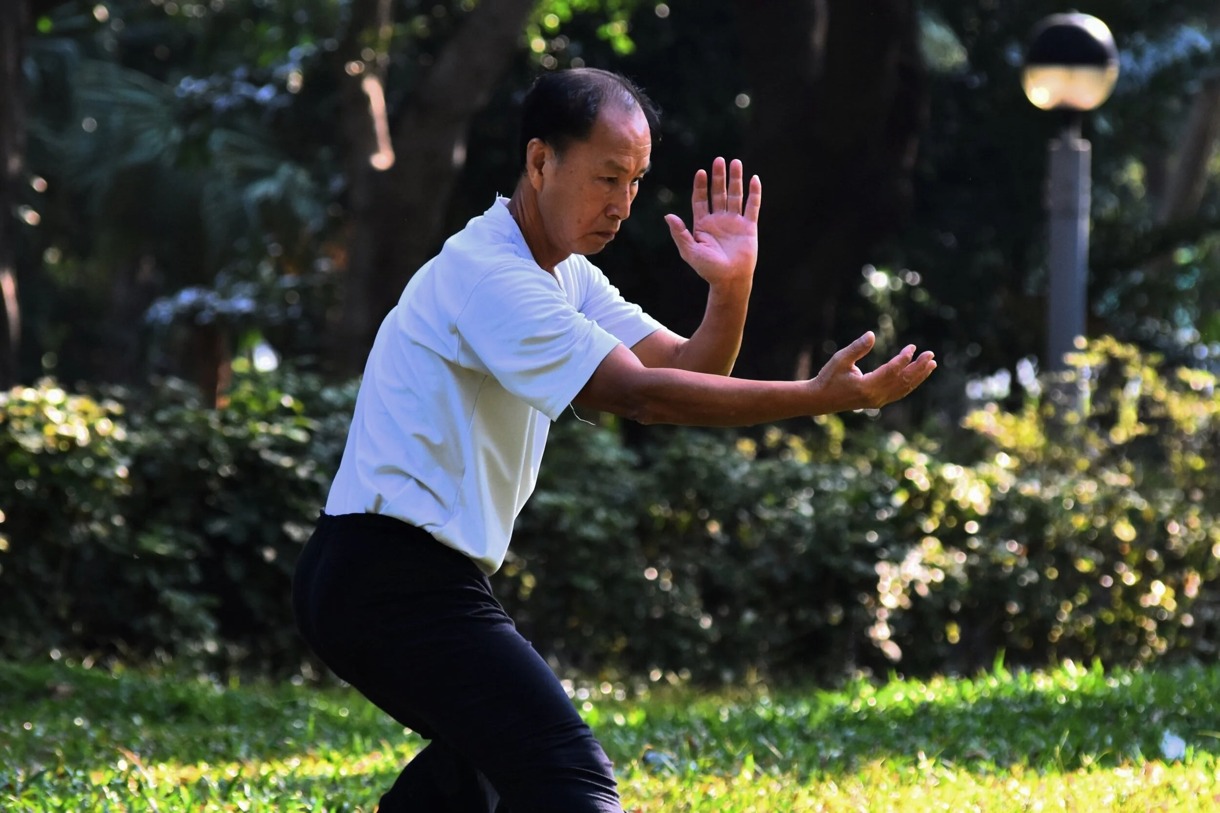 August 6 | Free drum performance and Tai Chi in Kenilworth Aquatic Gardens
