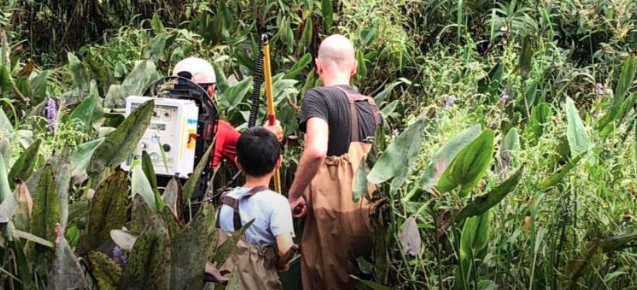 Sept 16 - 19 | Volunteers needed for the Anacostia River BioBlitz