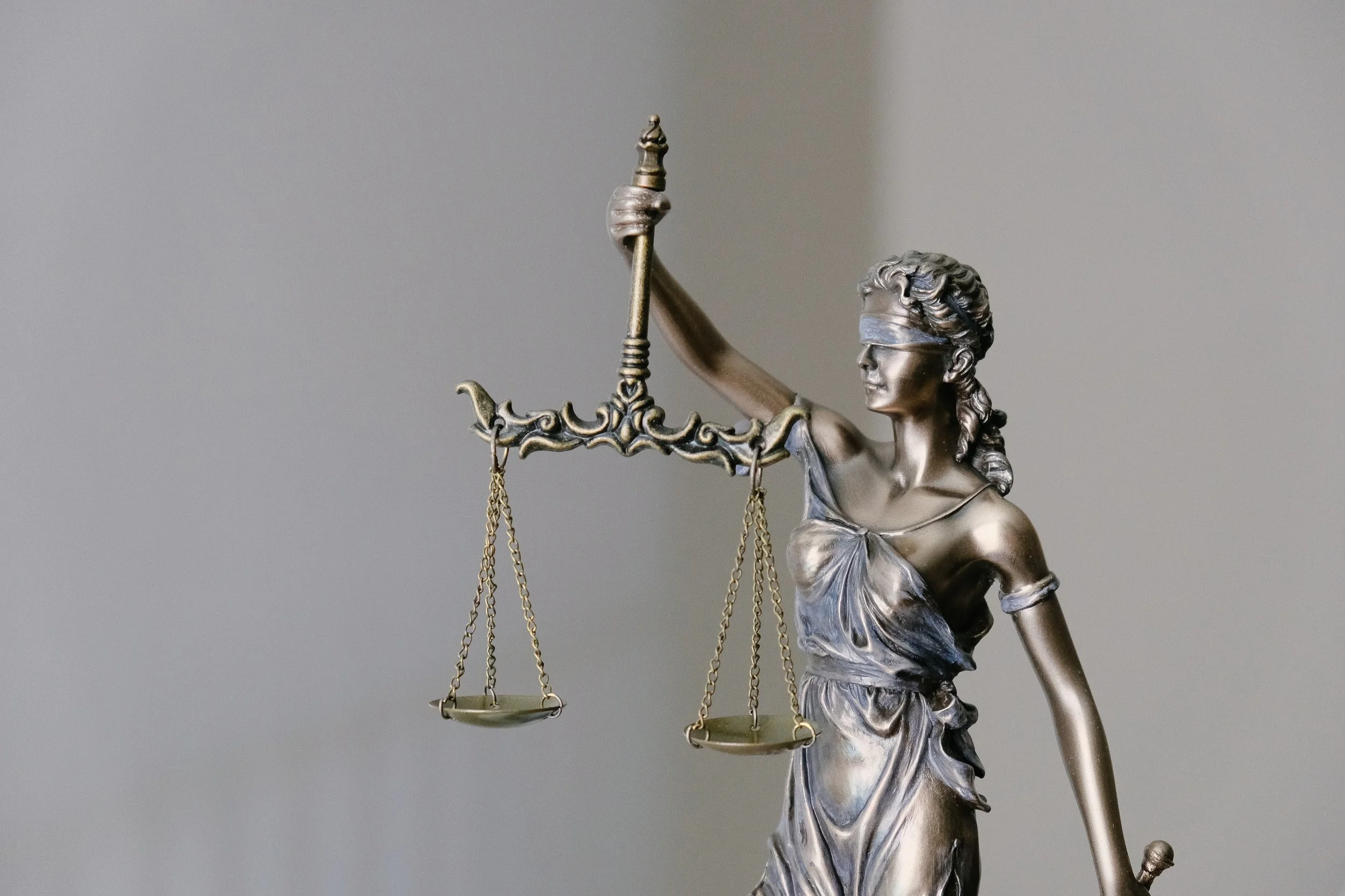 Nov 8 + 10 | Free Legal Advice Remote Clinic