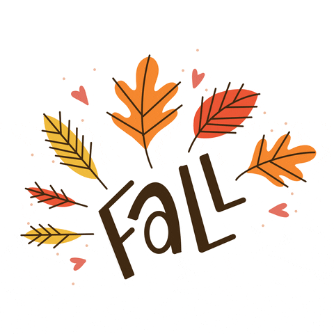 Nov 13 | Fall Fest 2021 in Ward 7 
