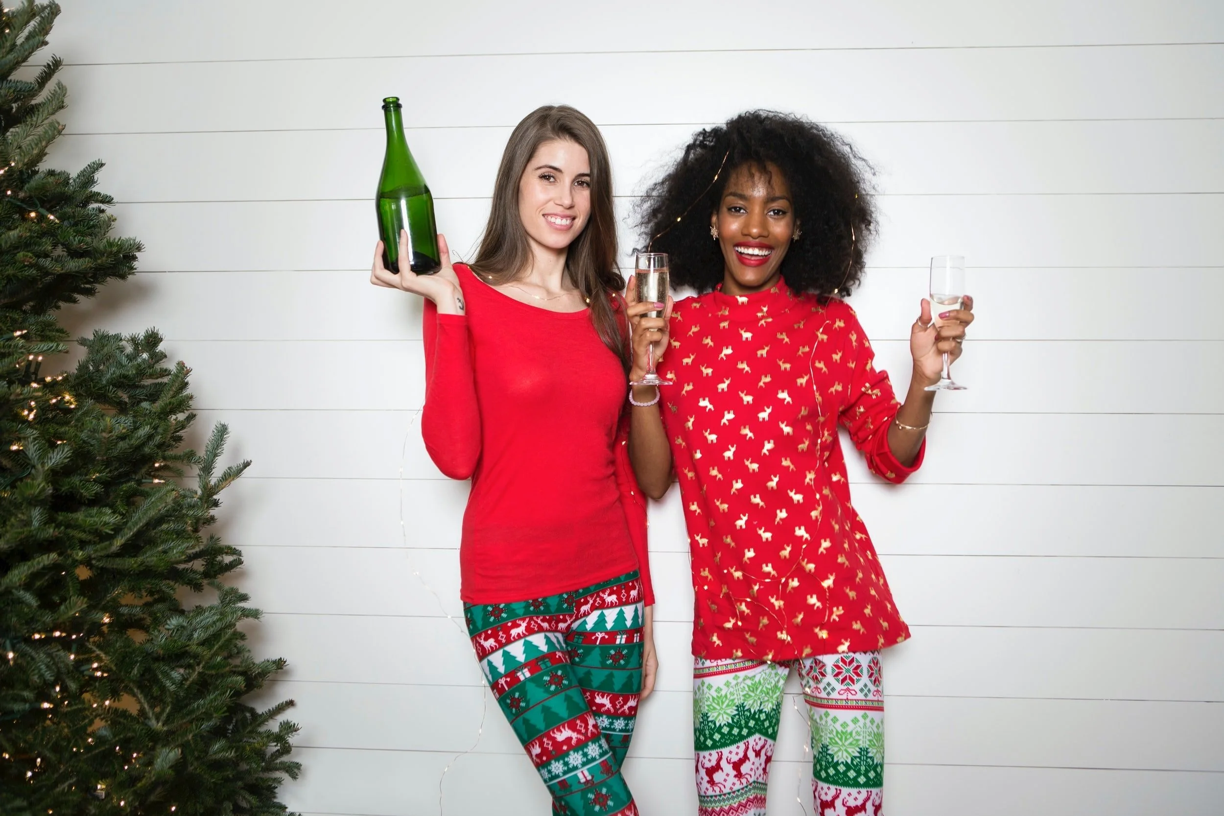 Nov 30 | Anacostia Coordinating Council's 9th Annual Multicultural Holiday Party 