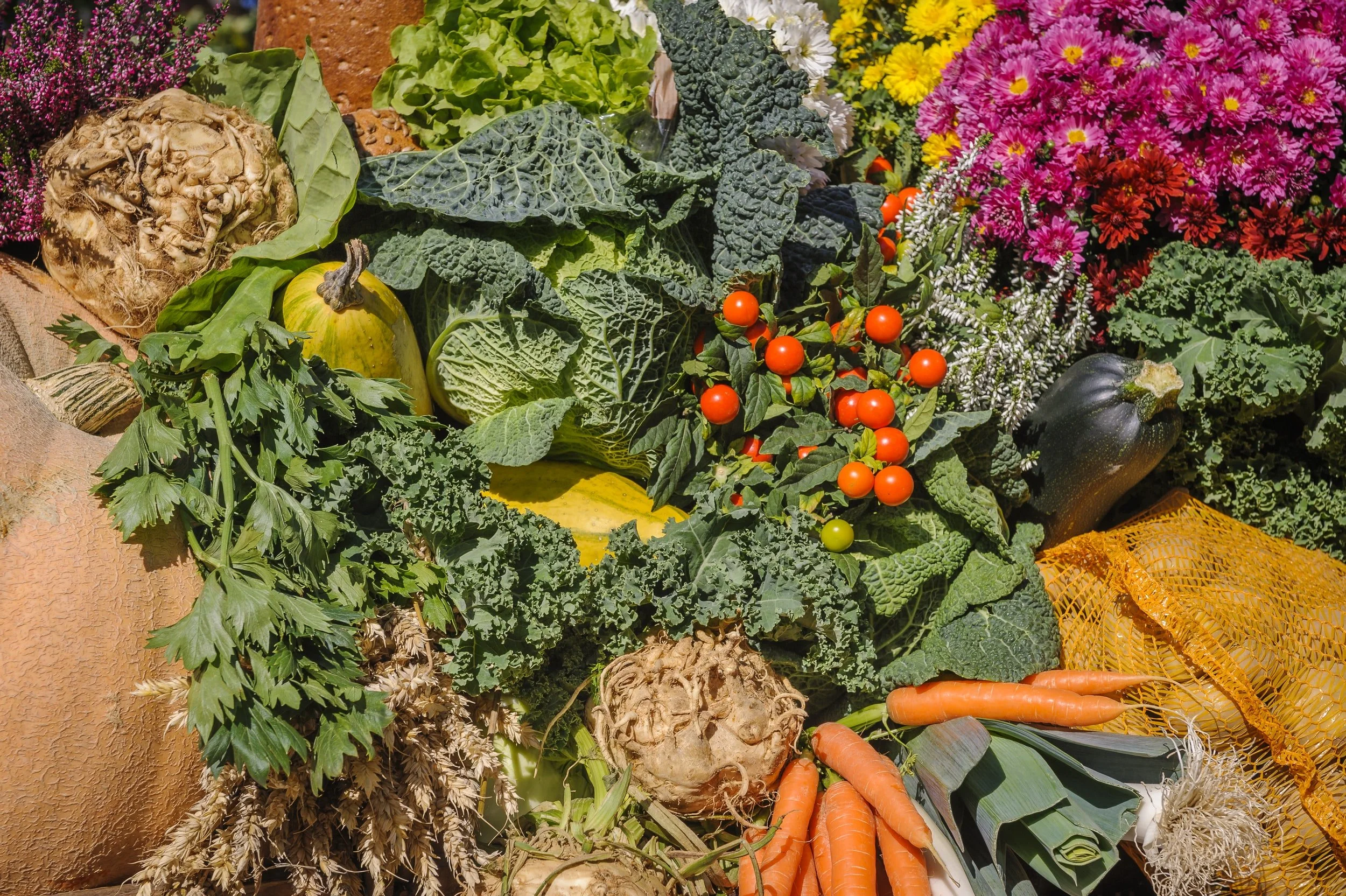 Jan 17 | Fresh Food Giveaway in Ward 7
