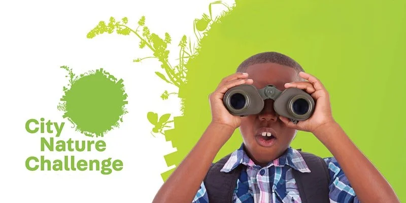 April 6 | Discovering Nature East of the River with the City Nature Challenge