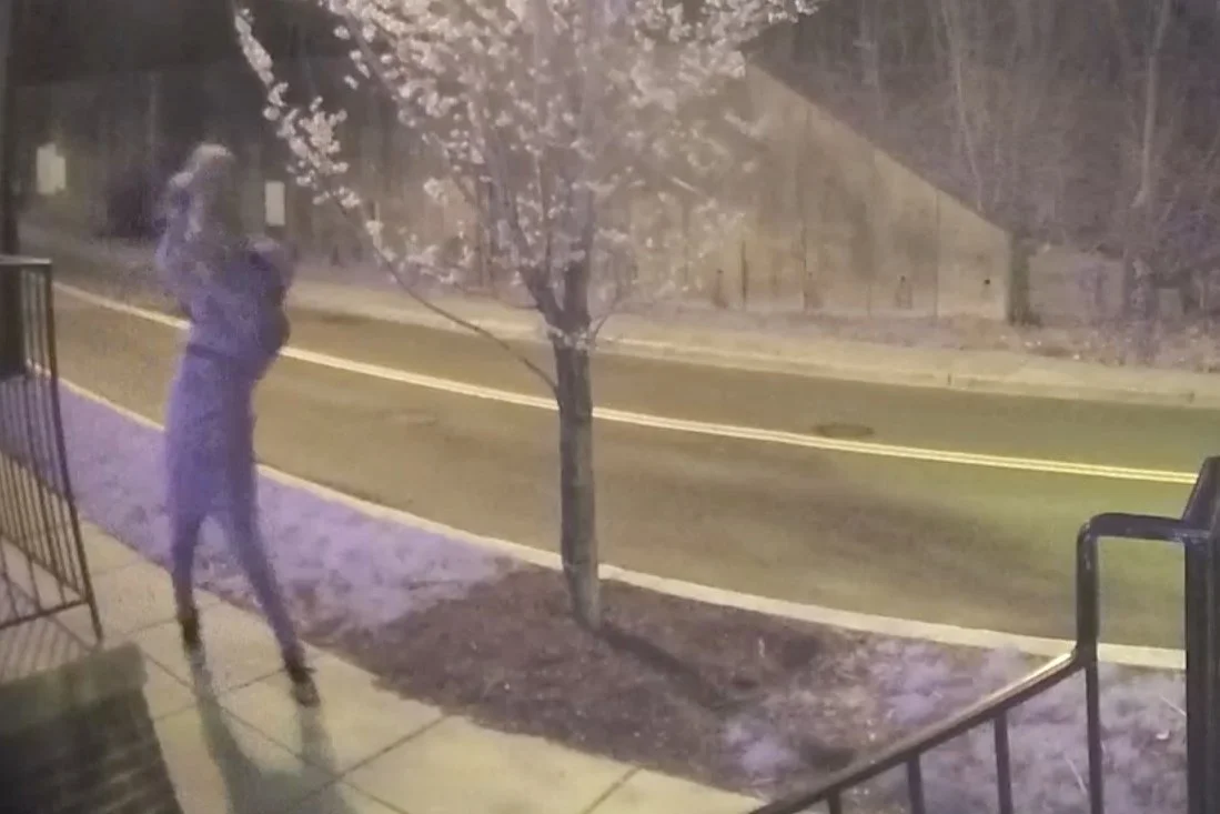 VIDEO | $22,500 Reward Offered in Ward 8 Animal Cruelty Case, Dog Slammed into Sidewalk, Kicked and Dragged