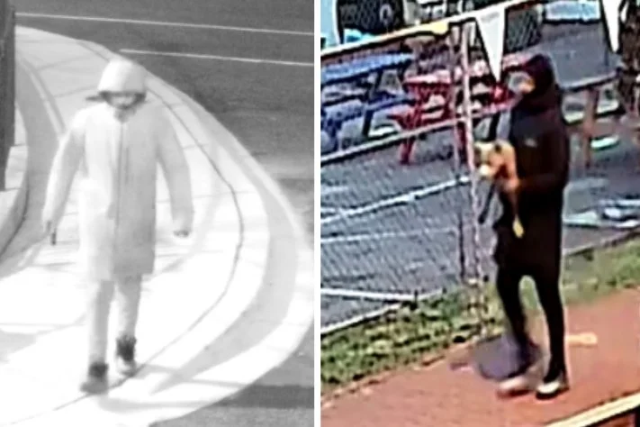 $30,000 Reward Offered in Ward 8 Animal Cruelty Case where dog is kicked, dragged and thrown to the ground