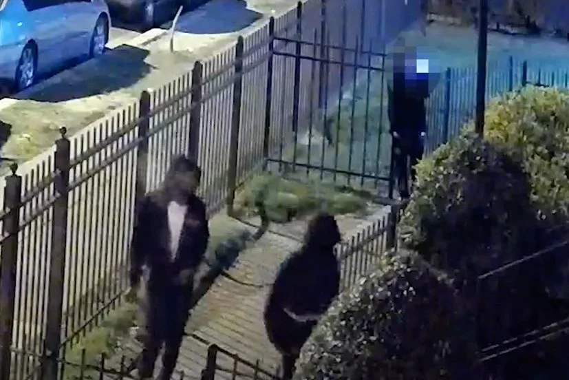 MPD 7D | Suspects Sought in an Assault with a Dangerous Weapon (Gun) Offense: 3200 Block of 23rd Street, SE