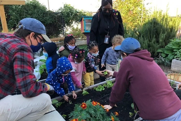 June 7 + 8 |  Martha's Table presents 1-Year Strategic Plan Community Progress Report