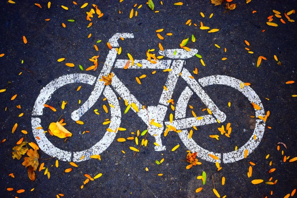 🌟 Free Bike Ride on Sat, 7/2, from Kenilworth Aquatic Gardens! [SP]