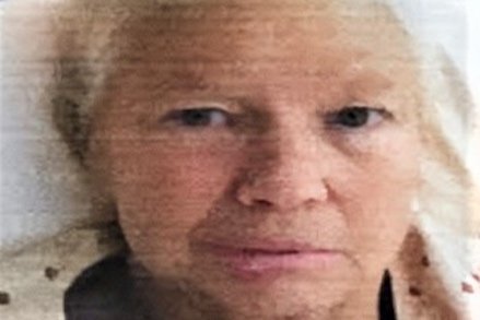 CRITICAL MISSING |  Nancy Schreiber, 71