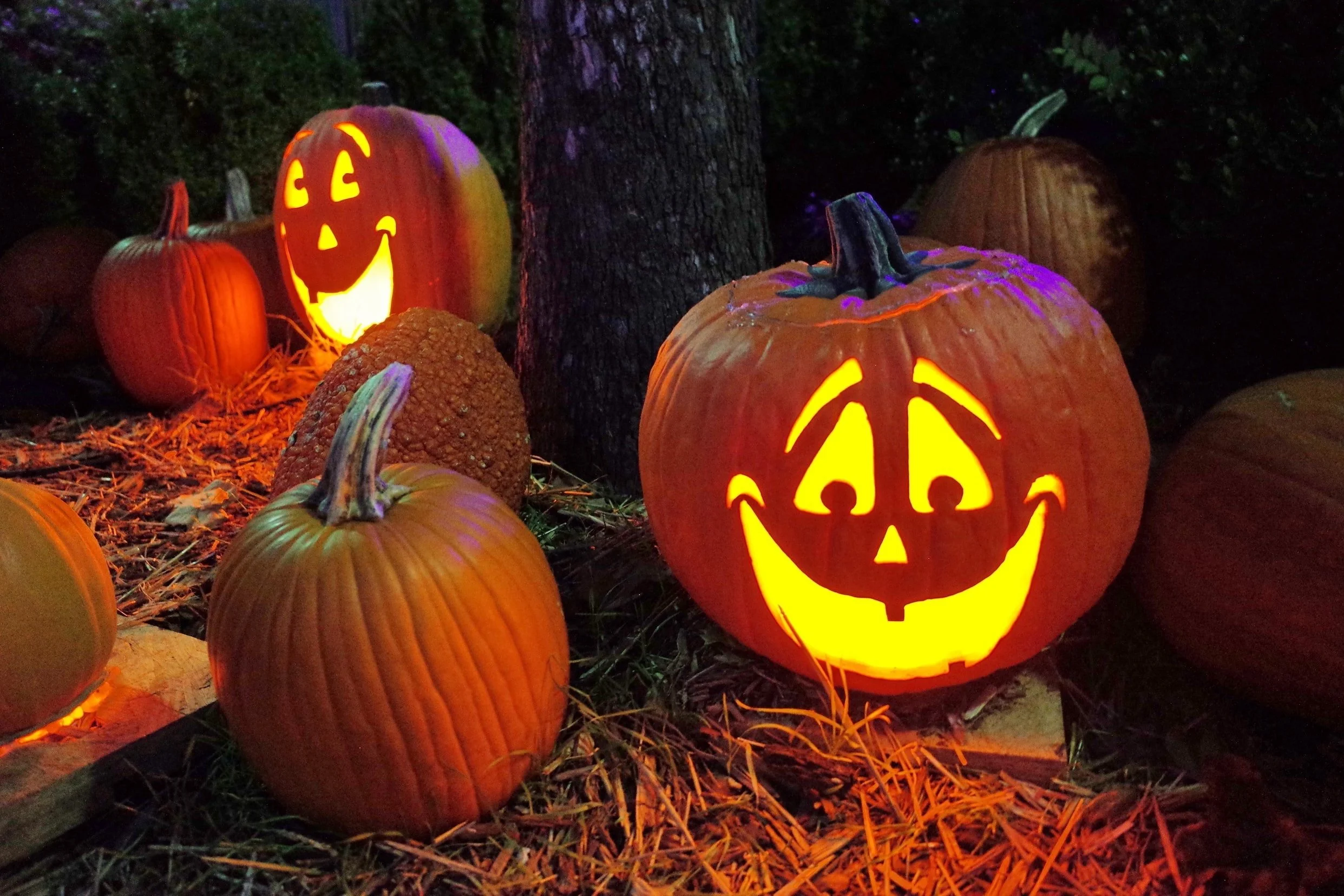 Oct 28 - 31 | MPD Halloween Safe Haven Events
