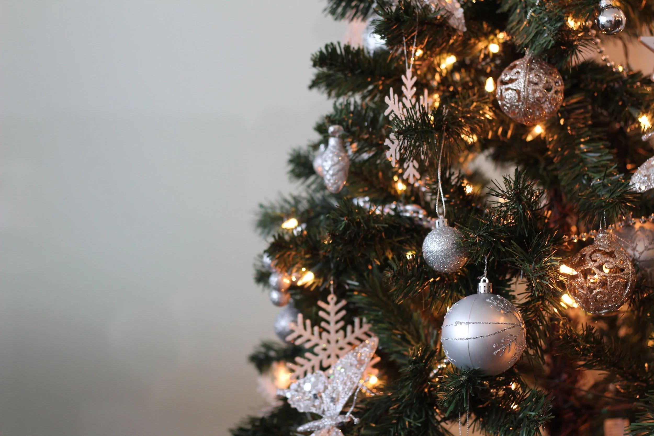 How DC residents should properly dispose of their Christmas trees and greenery