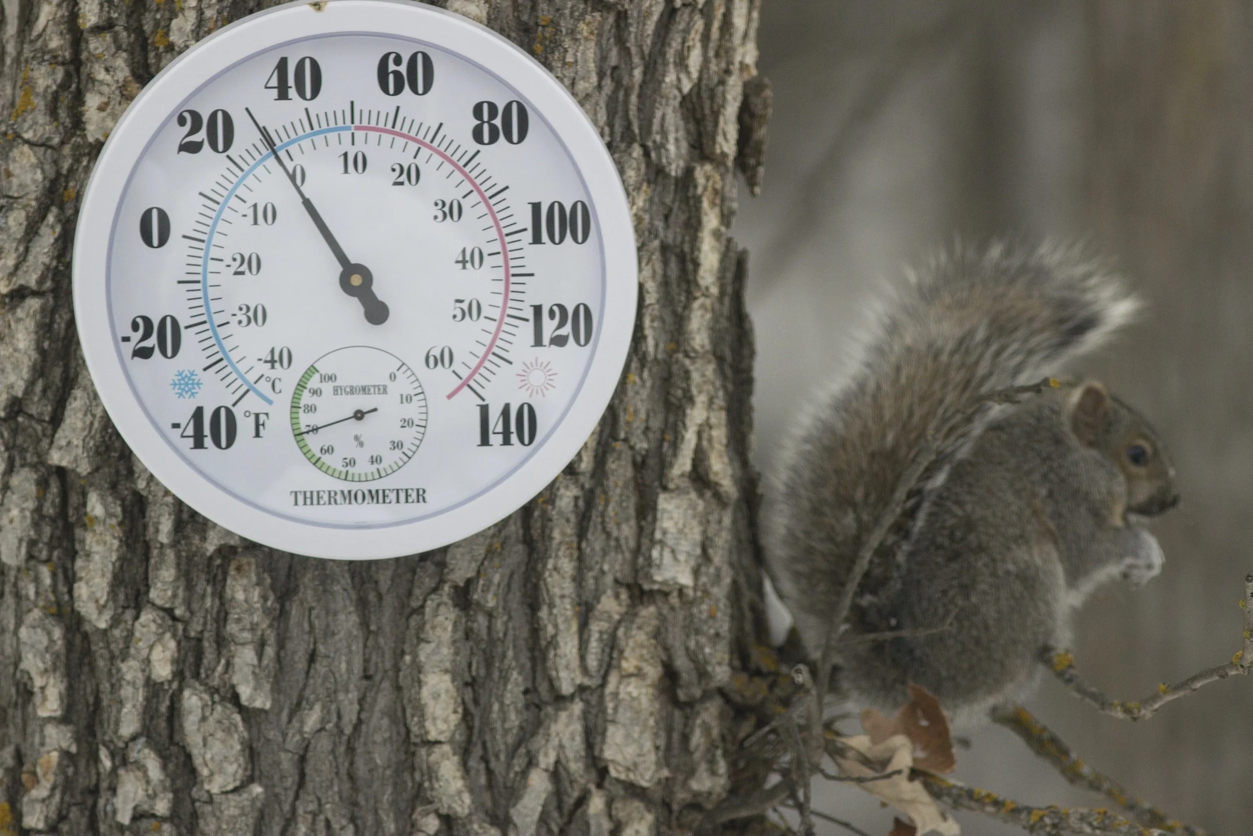  Hypothermia Alert Activation Tonight at 7pm