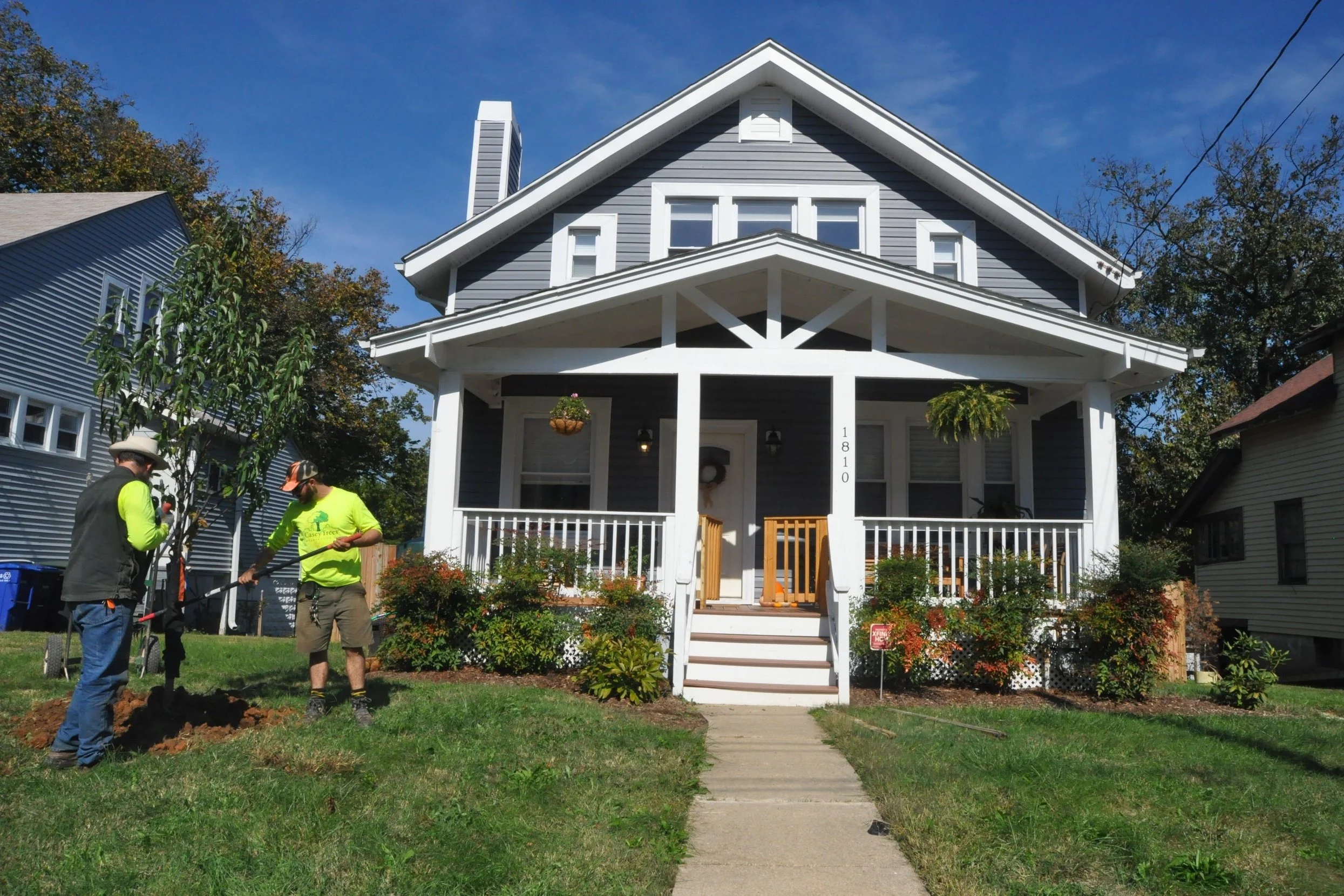 🌟 Help Re-Tree DC By Getting FREE Trees Today! [SP]