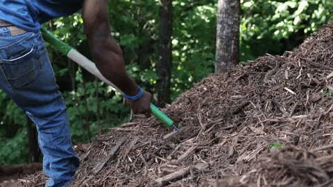 RESOURCE ALERT || Free Compost Giveaway for DC Residents