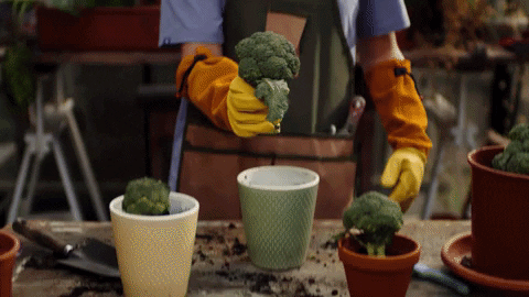April 1 | Urban Gardening: Setting up the Garden, Plants for a Great Growing Season