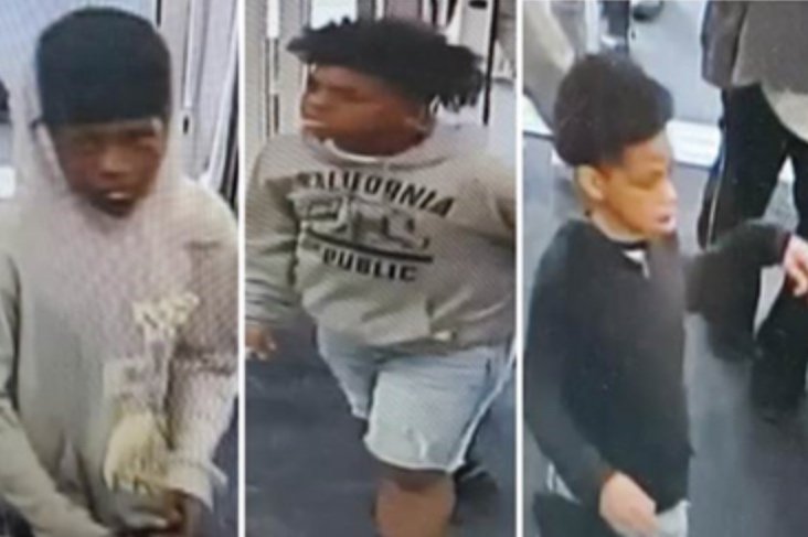 MPD 5D | Suspects Sought in a Robbery (Force and Violence) Offense: 1200 b/o First Street, NE