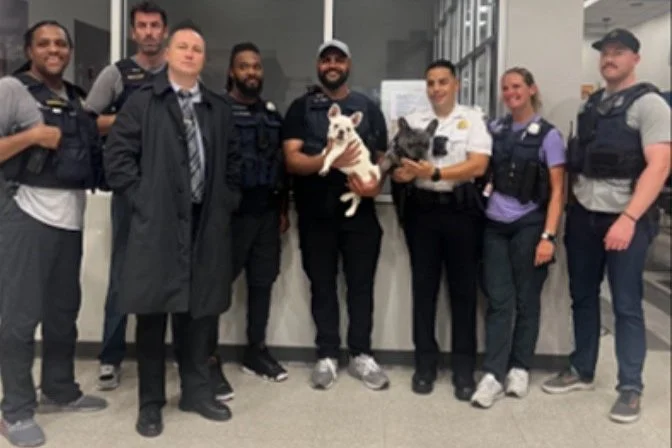 STOLEN DOGS RECOVERED | Suspect and Vehicle Sought in Armed Robbery (Gun) and Assault with Intent to Commit Robbery Offenses in the First District