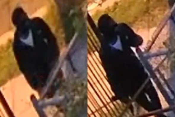   Suspect Sought in an Assault With Intent to Kill (Gun) Offense: 3000 b/o 30th St, SE