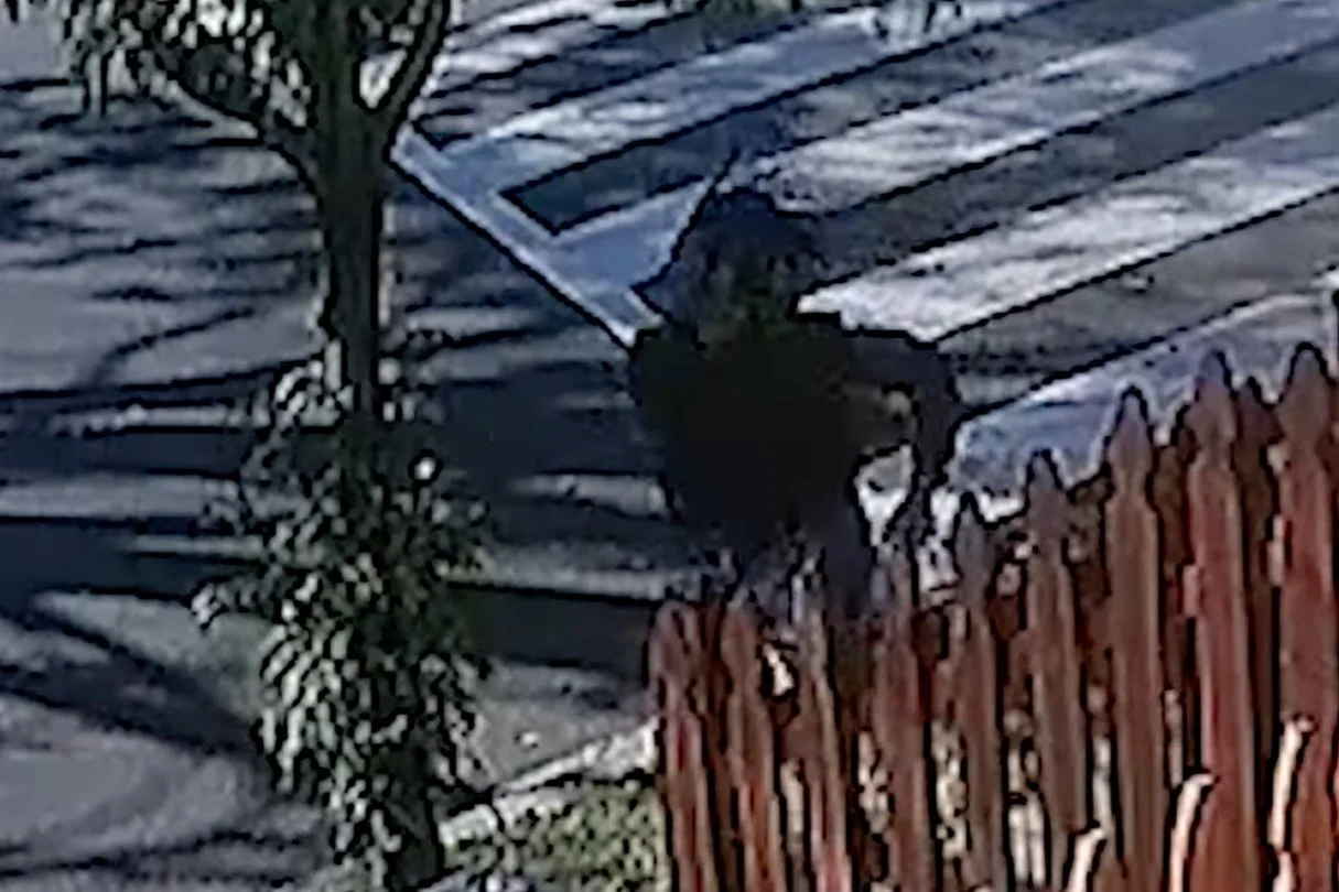 MPD 7D | Suspects Sought in a Robbery in SE [800 b/o Savannah St, SE]