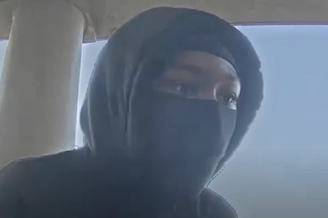 MPD 6D | Suspects Rob a Woman in Southeast DC