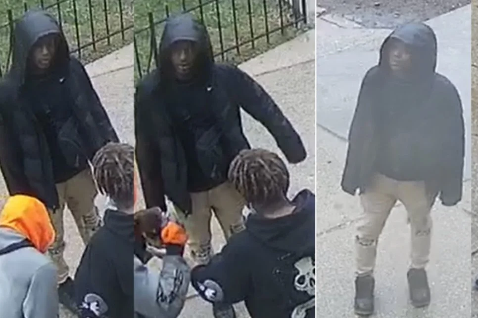 MPD 6D | Dog Taken in Armed Robbery