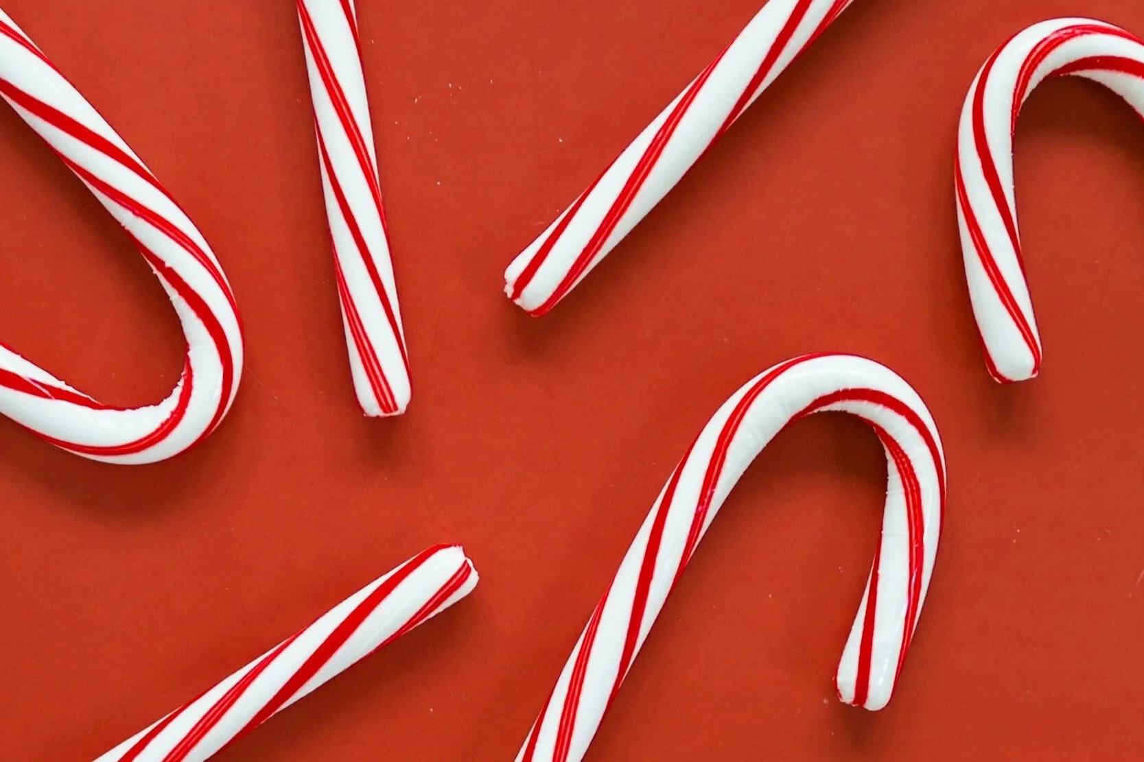 Dec 2 | Hillcrest Holiday Gathering
