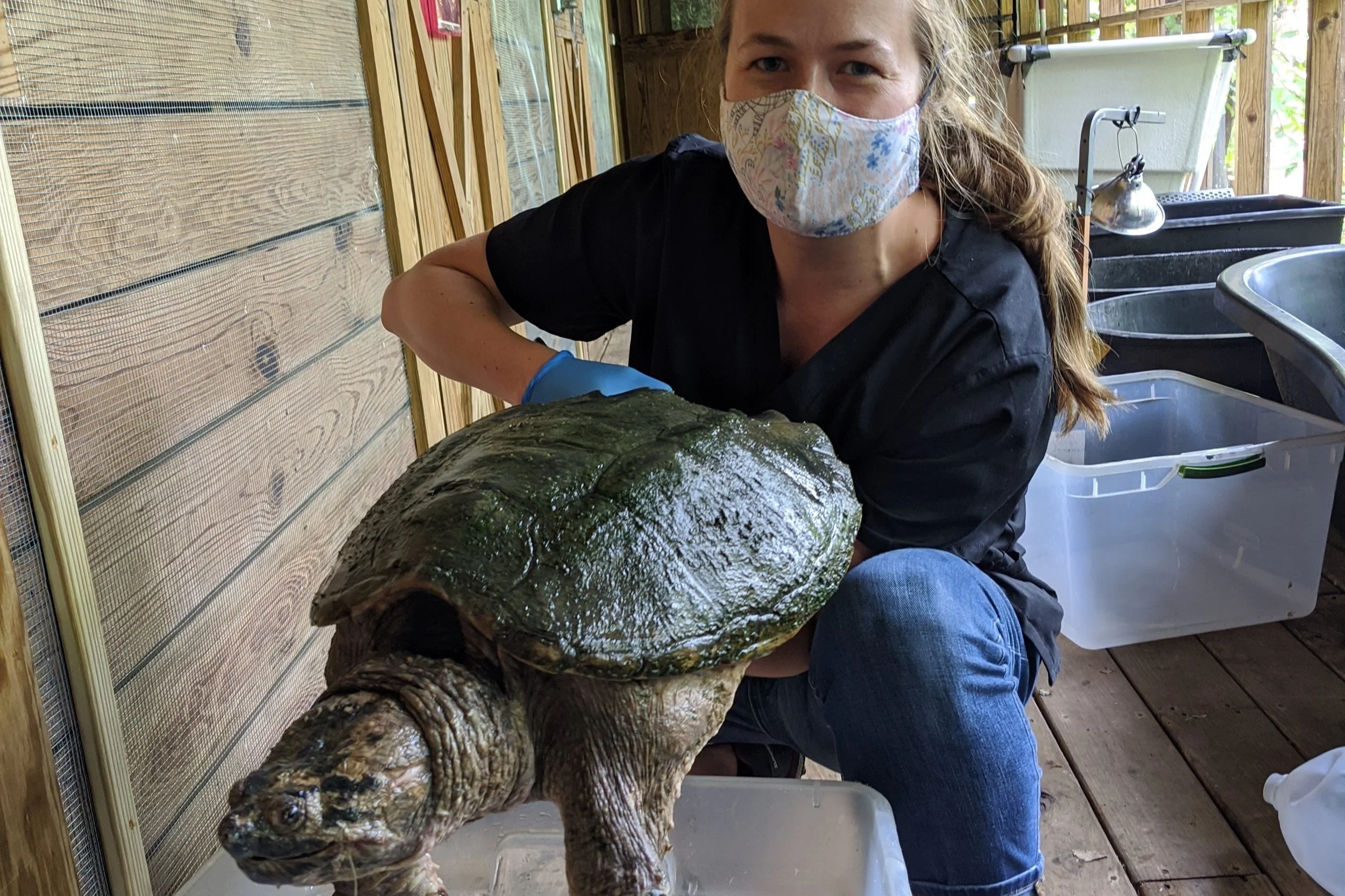 March 4 | Deadline to register for Veterinary Medicine Careers Virtual Info Session