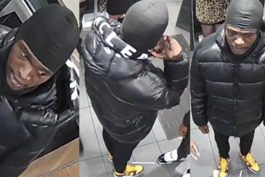 Stolen French Bulldog Reunited with Owner, Search for Suspect Continues