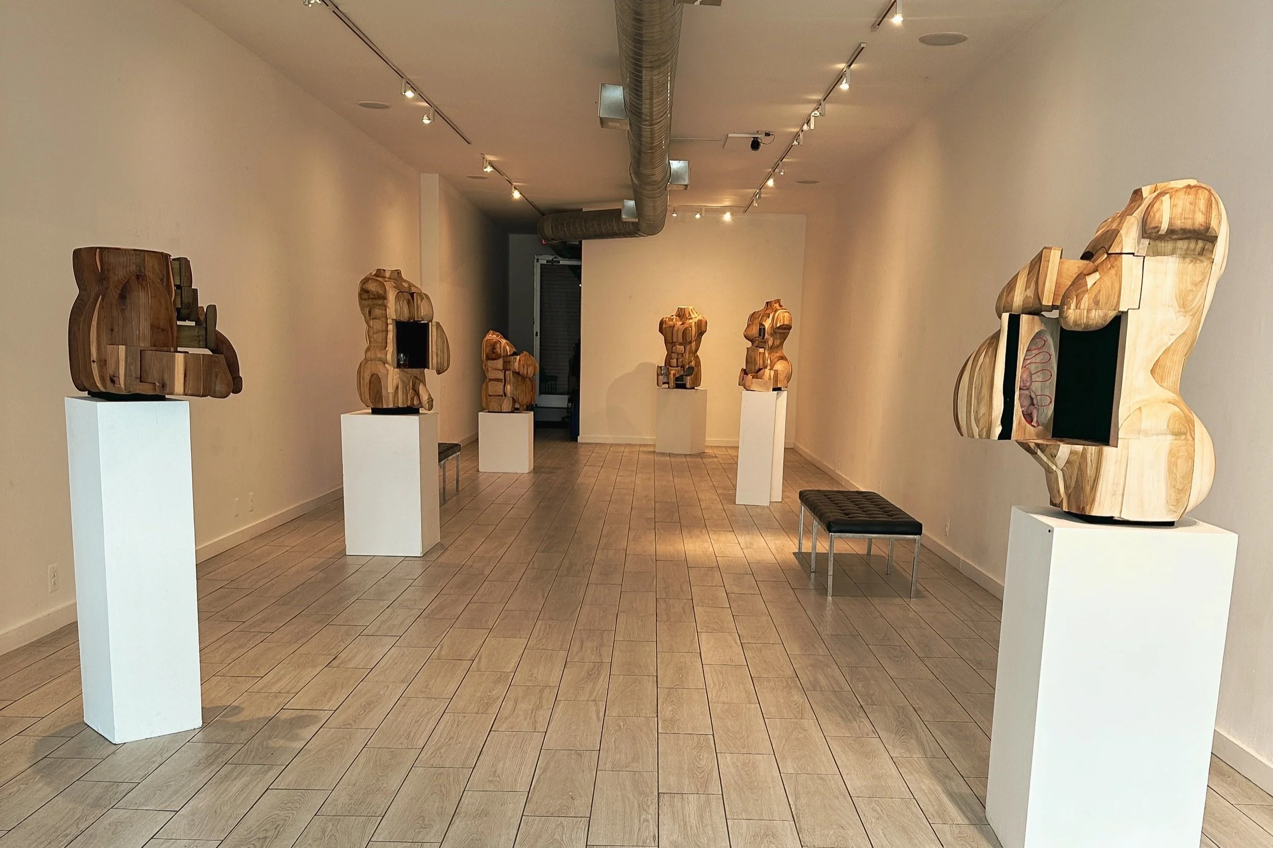 Now - May 2 | 'Laying Bare' on display in Anacostia at Honfleur Gallery [SP]