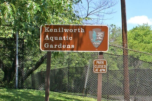 July 19 | Community Voices event in Kenilworth Aquatic Gardens