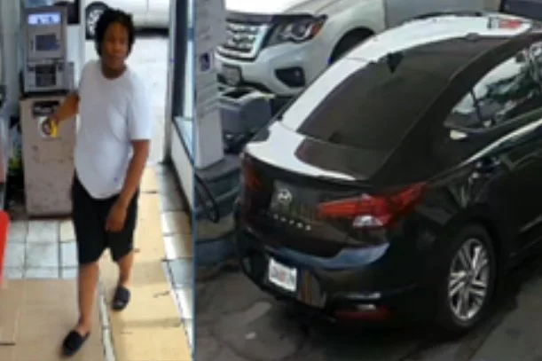 WANTED | Suspect in Theft of Theo the Dog